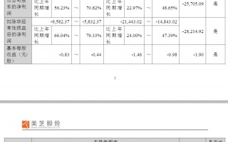 杭州002856，大幅下修业绩预告！或被“*ST”