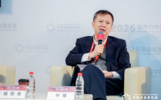 杭州叶强：现在大模型不见得需要全域，垂域技术会不断出现