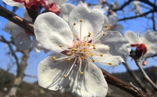 杭州万亿公募汇添富：“选股专家”变“被动之家”