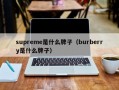 杭州supreme是什么牌子（burberry是什么牌子）