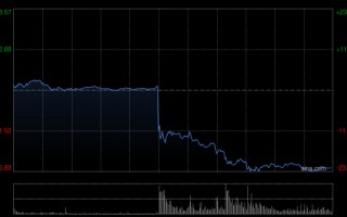 杭州市场不满仅20%的业绩指引，泡泡玛特股价崩盘！王宁：追求长期、稳健的成长是我们的目标