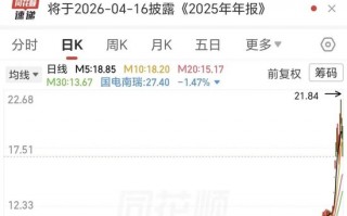 杭州10天6涨停后闪崩！电力“妖股”股东拟高位套现，董事长曾被捕