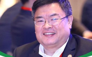 杭州10亿元融资，绊倒了盈科创始人梅向荣，他的家族生意怎么回事？|| 深度