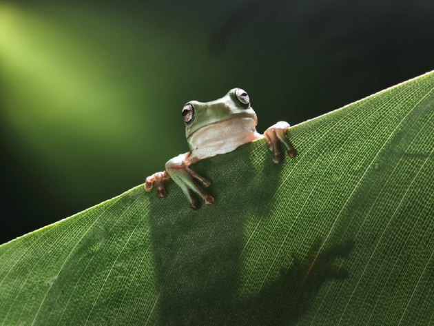 杭州OPPO Find N6全球发布:破解折叠屏8年折痕难题 售价9999元起 杭州OPPO Find N6全球发布:破解折叠屏8年折痕难题 售价9999元起