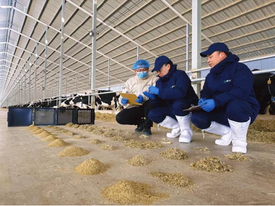 杭州蒙牛发布2025年财报:进化强韧性,蓄力迎增长 杭州蒙牛发布2025年财报:进化强韧性,蓄力迎增长