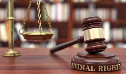 杭州证监会一日下发6份罚单、4家被立案,4类隐匿伎俩踩入监管红线 杭州证监会一日下发6份罚单、4家被立案,4类隐匿伎俩踩入监管红线