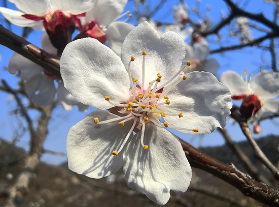 杭州万亿公募汇添富：“选股专家”变“被动之家”