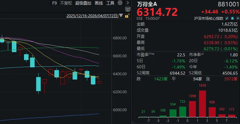 杭州又是一年4月7日，A股“画风突变”！这一板块掀涨停潮