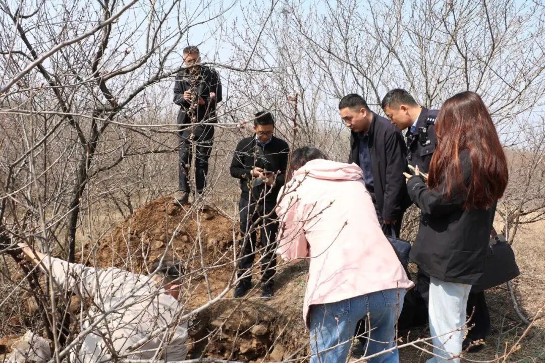 杭州听说埋有大量黄金，想要“一辈子衣食无忧”，山东公安：5人已被依法采取刑事强制措施