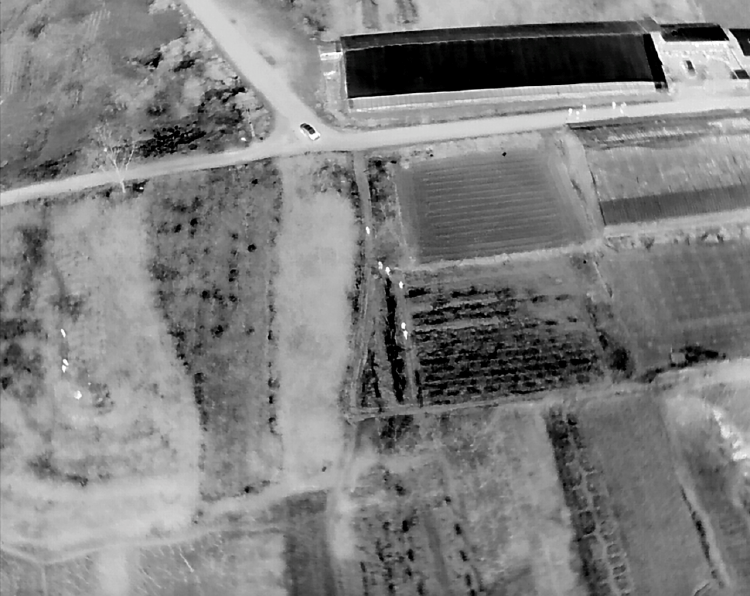 杭州听说埋有大量黄金，想要“一辈子衣食无忧”，山东公安：5人已被依法采取刑事强制措施