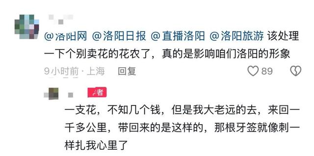 杭州游客称在洛阳一市集买的牡丹,竟是牙签固定的 “断头花”!市集回应:已关注,正核实 杭州游客称在洛阳一市集买的牡丹,竟是牙签固定的 “断头花”!市集回应:已关注,正核实